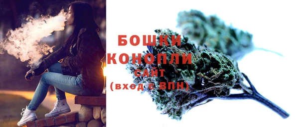 шишки Дмитров