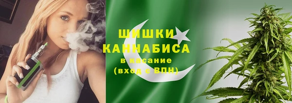 дмт Елизово