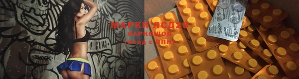 дмт Елизово