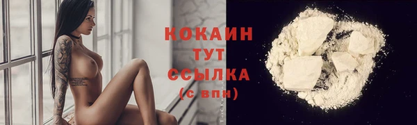 шишки Дмитров