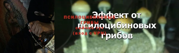 ALPHA-PVP Дмитриев
