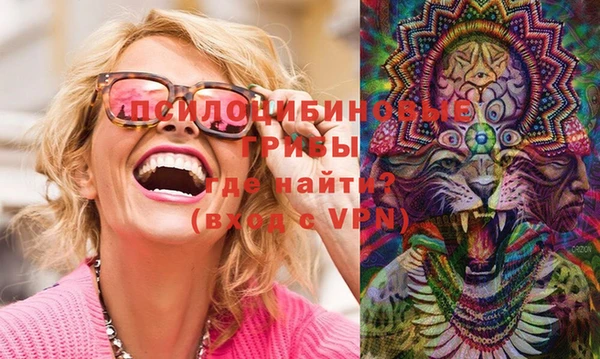 шишки Дмитров
