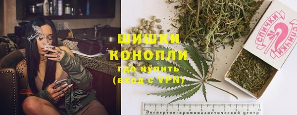 дмт Елизово