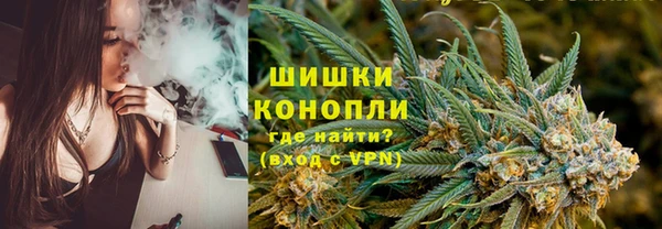 шишки Дмитров