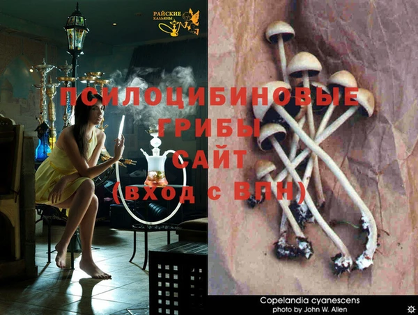 каннабис Ельня